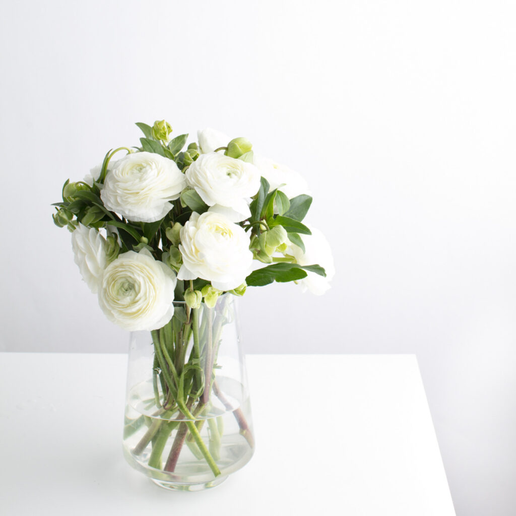 A Beauty Life - More Than Just Lipstick