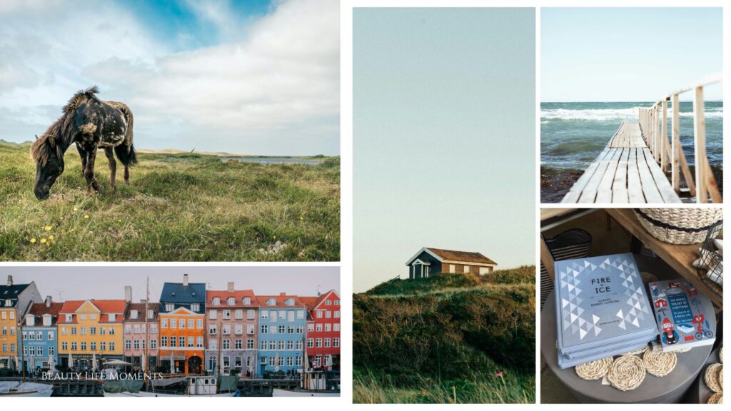 Dreaming of Denmark - A Culinary Journey