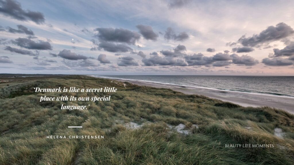 Dreaming of Denmark – A Culinary Journey